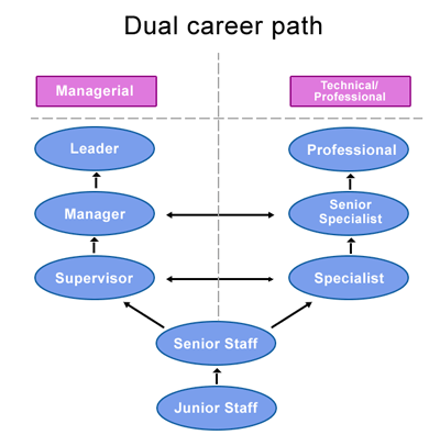 dual-ladder-career-path
